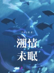 又是昨夜北城梦