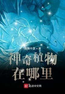 柯南世界里的命运侦探
