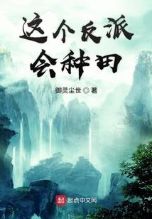 偷天小贼