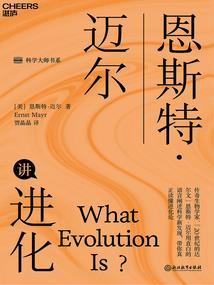 战师木辰