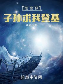 寰宇大主宰