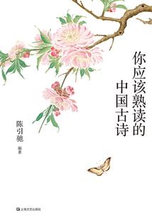 双华记