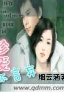 诸天之模板系统