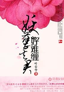 二次元的绝地反击日常