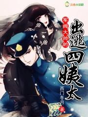 风知鸟的悲伤