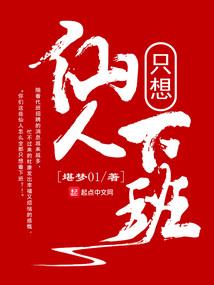 大海盗日记