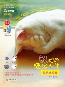 第一拍卖场