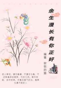 传奇特工
