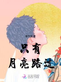 狐狸小妃