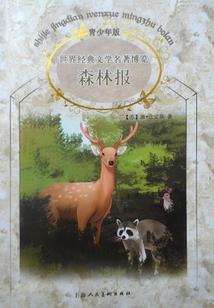 月银狐