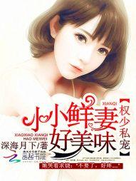 上门女婿人生巅峰