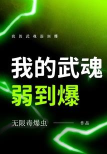 圣斗士同人之白银传说