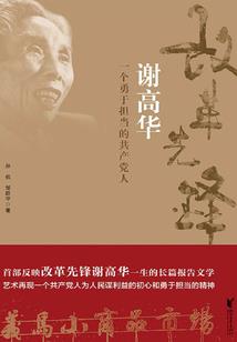 奥奇传说之五王的假期