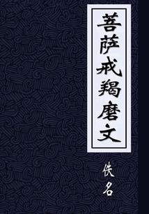 梦露系统