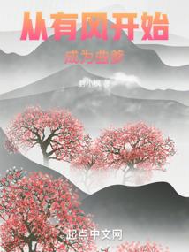 暗杀全火影