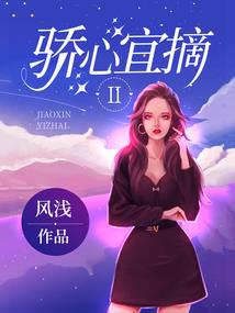 风泊剑云录
