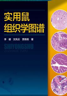 仗剑天歌
