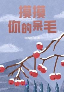王爷，你不是我的菜