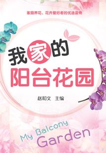 苍穹传