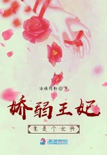 九州牧野记