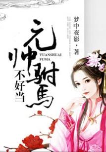 极品丑女之小偷当道