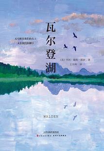 幸运如斯