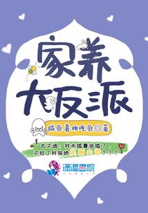 忆羽流星