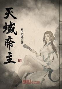 我那不正常的圣骑士生涯