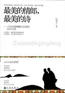 圣医寻宝记