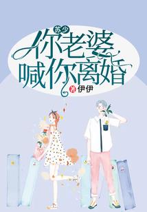 腹黑儿子土匪娘亲