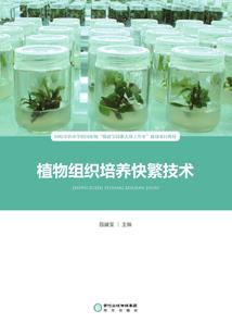 一妃动华京