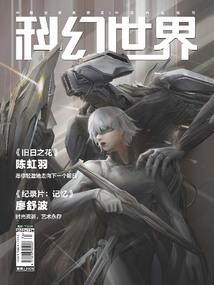 绮丽镜中人
