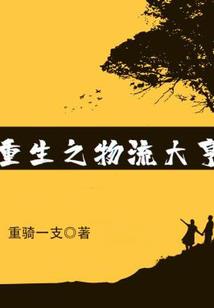 重生灼眼