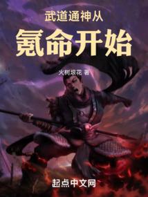 风岚雾隐