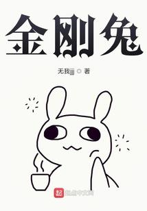 青春划过的流星