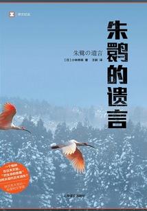 北斗之尊