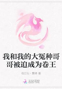暗影歌者的咏叹调