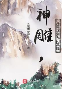 来自赛博坦的巨龙