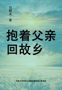 荣耀的神奇宝贝大师