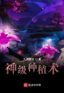 阑珊涅槃
