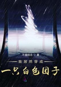 始于北泽