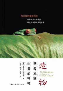 起步价