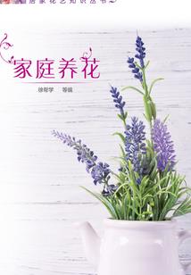 宅仙