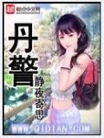 侠盗王妃方不可