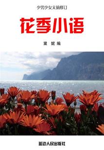 破碎的镜子所映照的