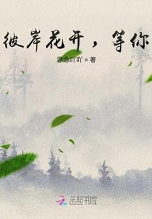 舟起航