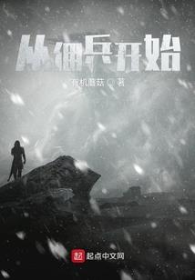 秋林又落了