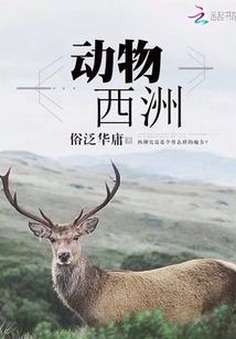 青心文摘