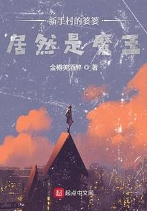 风极大陆