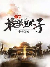 寻妻落花殇系列